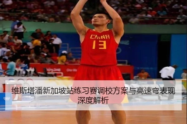 维斯塔潘新加坡站练习赛调校方案与高速弯表现深度解析